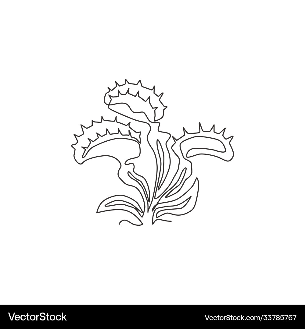 Single continuous line drawing mysterious Vector Image