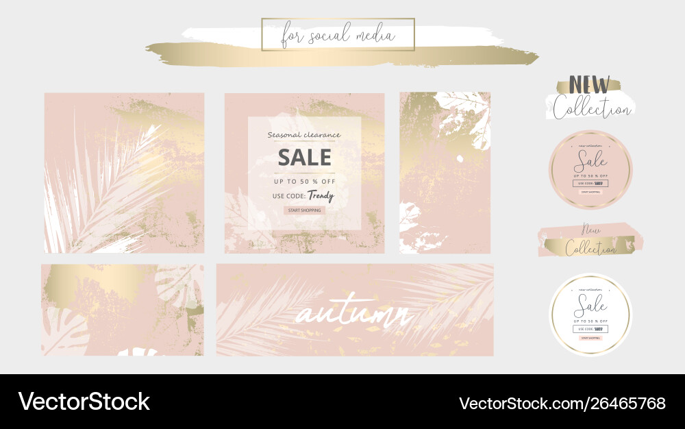 Gold Blush Social Media Banner Vector Image