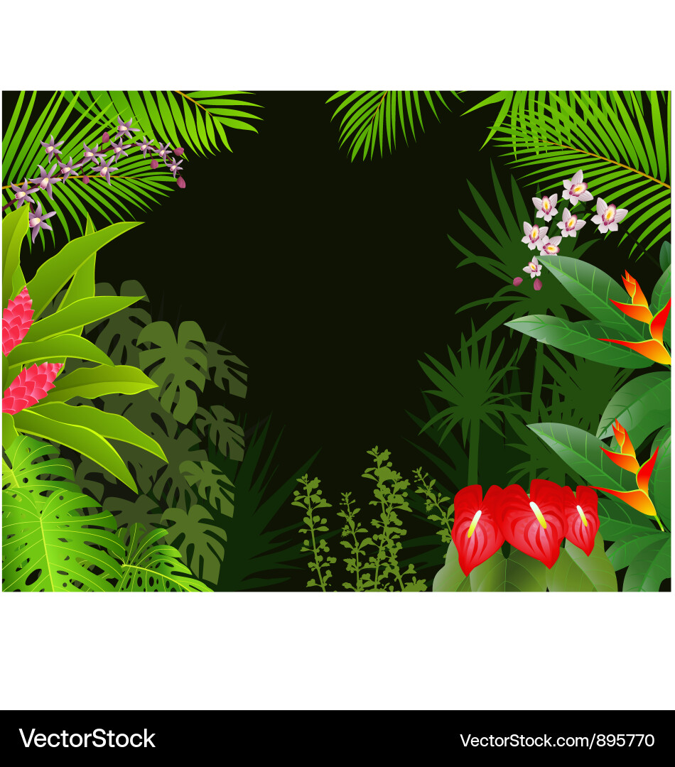 Tropical Forest Landscape Vector Image