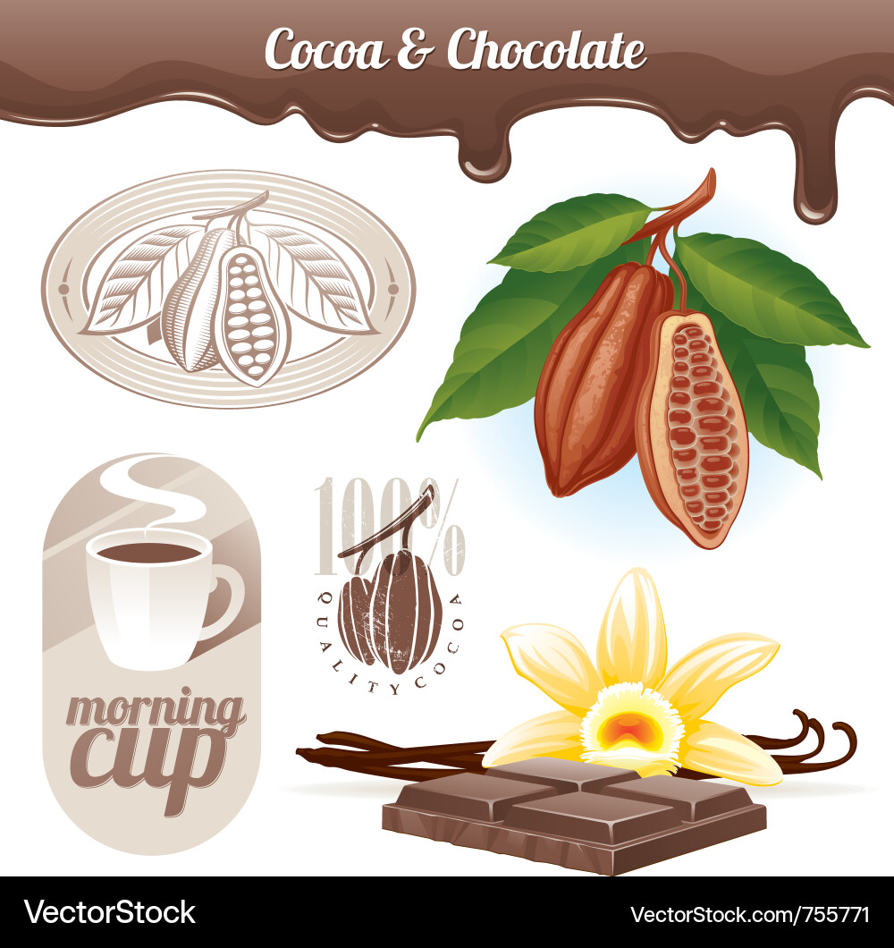 Cocoa Beans and Chocolate Set vector image