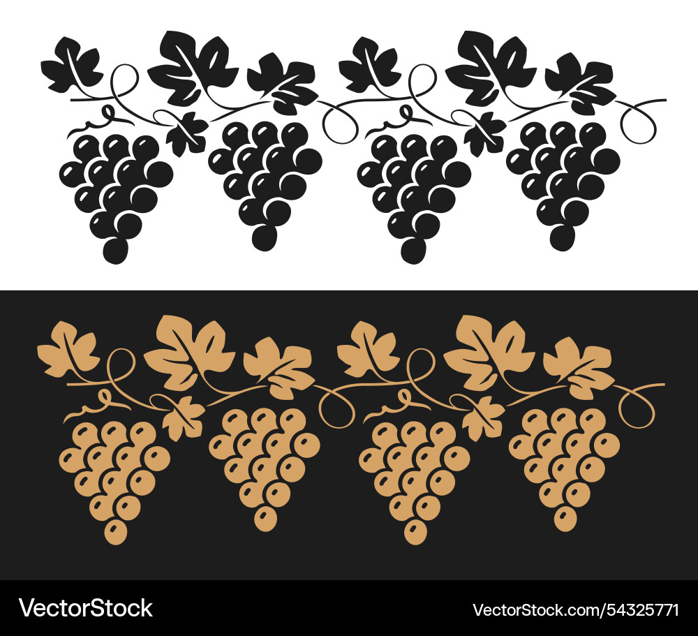 Grapevine and clusters of grapes pattern Grapevine and clusters of grapes pattern vector image