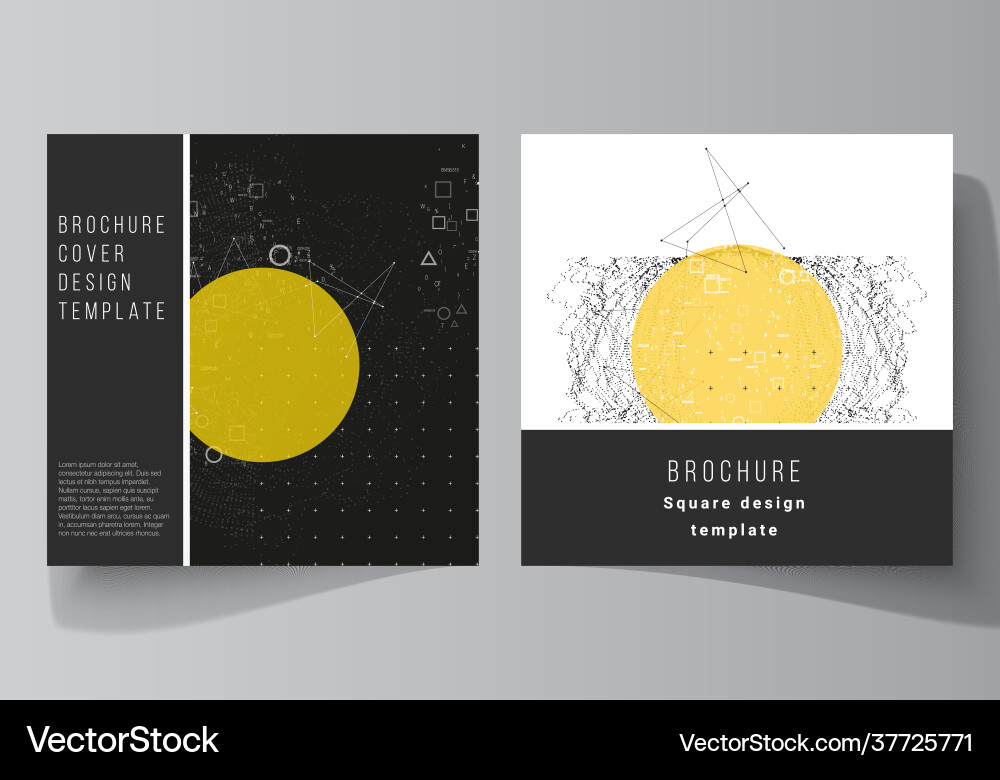 Layout two square format Layout two square format vector image
