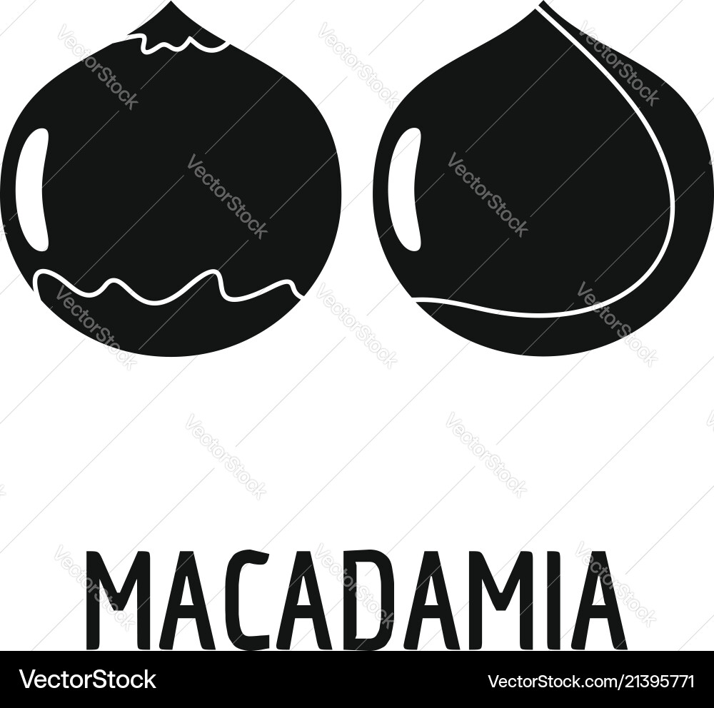 Macadamia icon simple style Macadamia icon simple style Vector Image