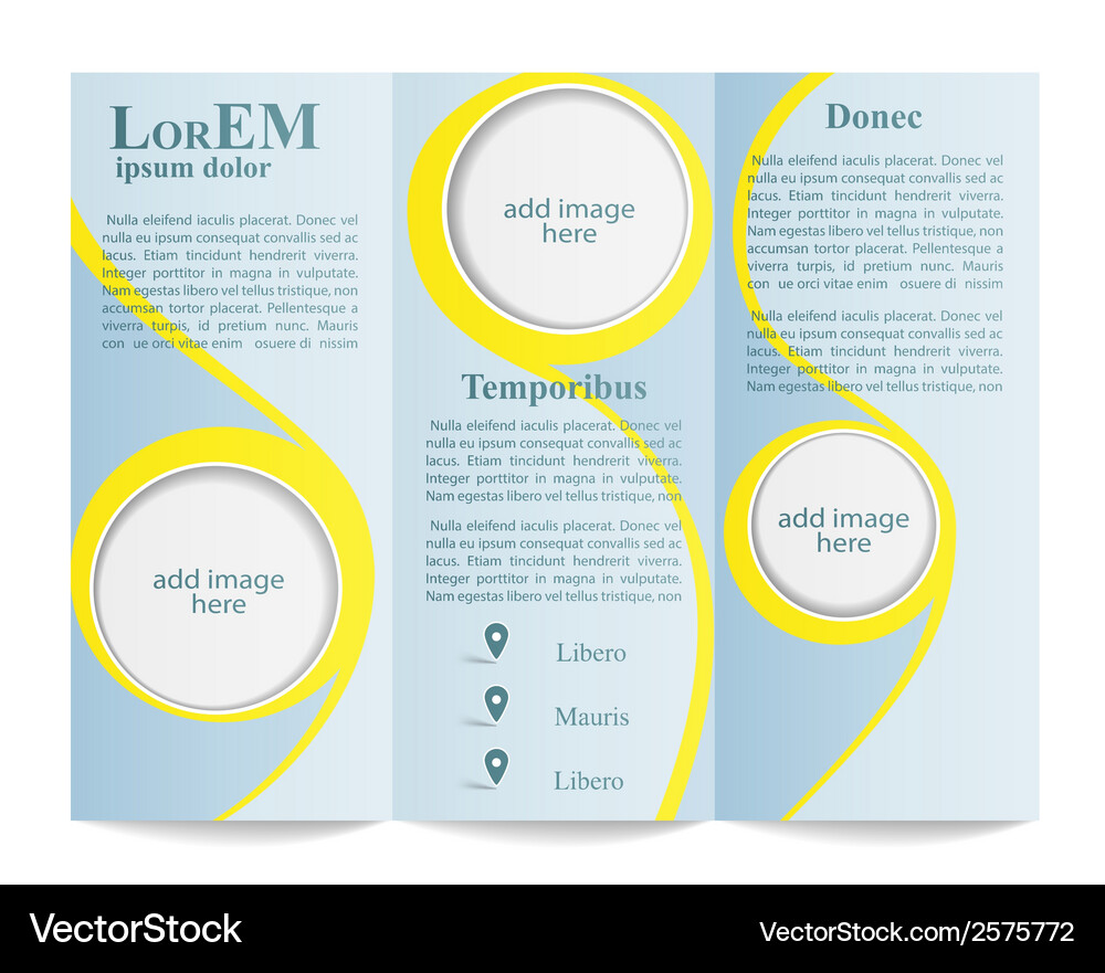 Modern Tri-Fold Brochure Template Vector Image