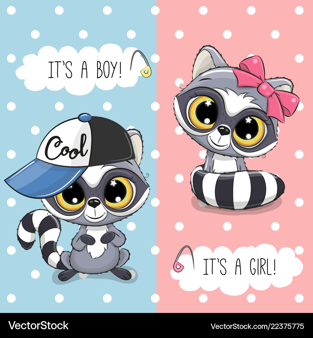 Baby shower greeting card with cute raccoon Baby shower greeting card with cute raccoon vector image