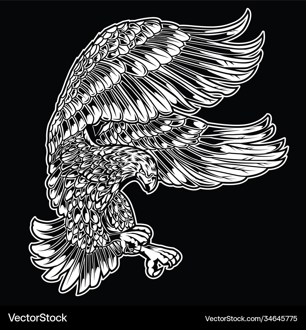 Eagle bird drawing wing annimal usa america – Royalty-Free Vector |  VectorStock, image size:1000x1080