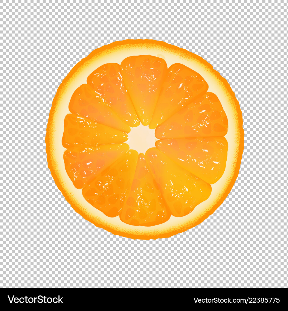 Orange Scheibe mit transparentem Hintergrund Orange Scheibe mit transparentem Hintergrund vektorbild