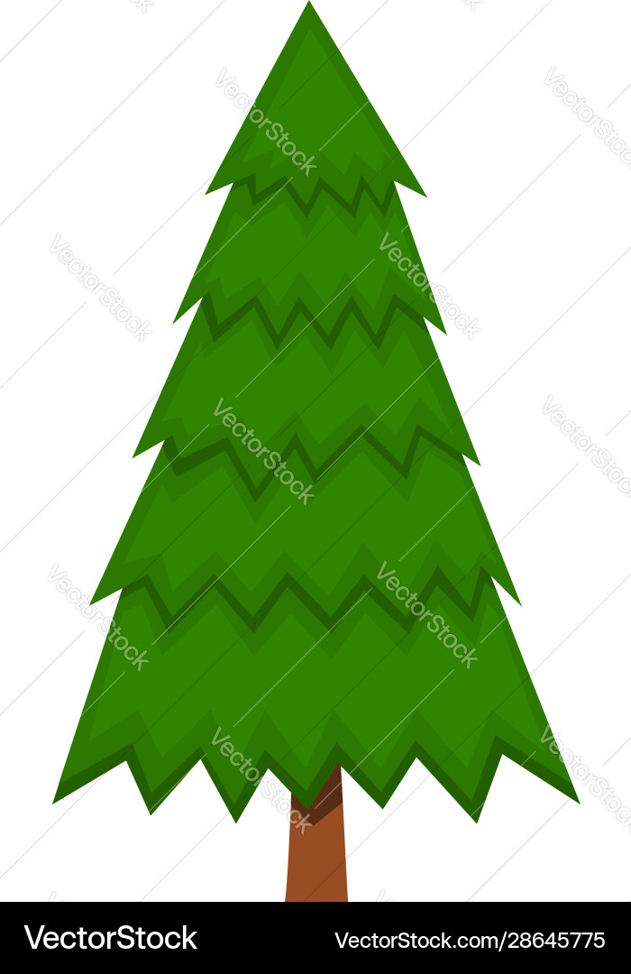 Pinienbaum im Cartoon Stil isoliert auf weiß Pinienbaum im Cartoon Stil isoliert auf weiß vektorbild