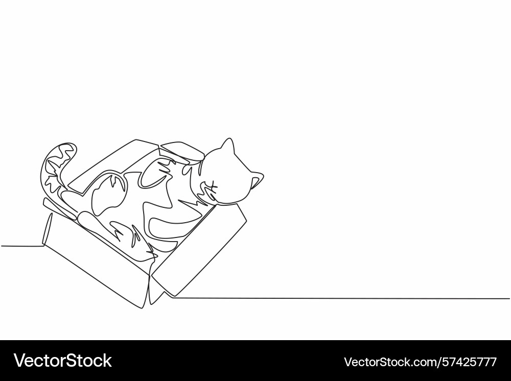 Single continuous line drawing tabby cat Single continuous line drawing tabby cat vector image