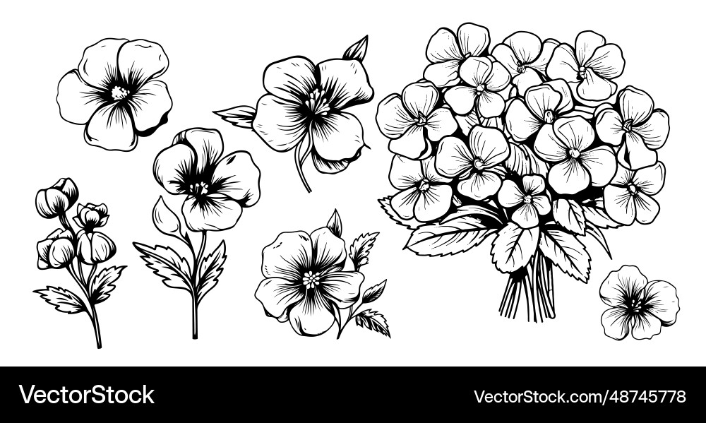 Set of violet flower sketch hand drawn vector image