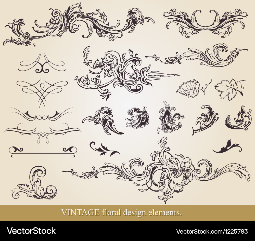 Floral Scroll Elements Vector Image
