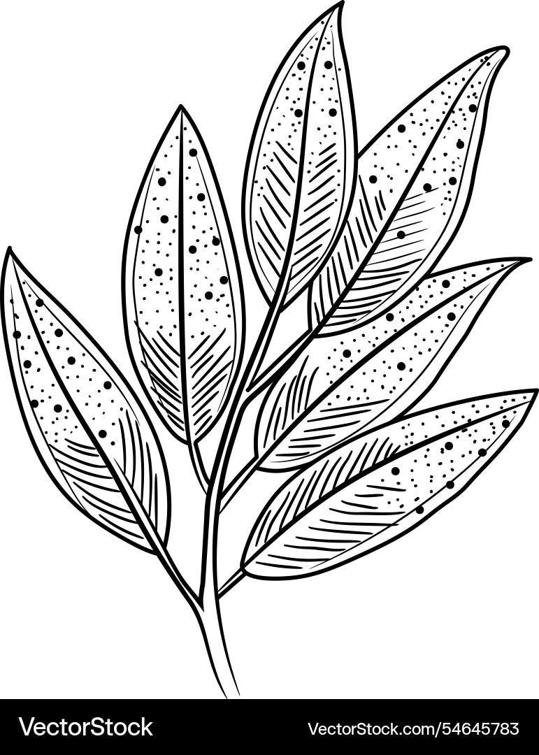 Natural plants vector image