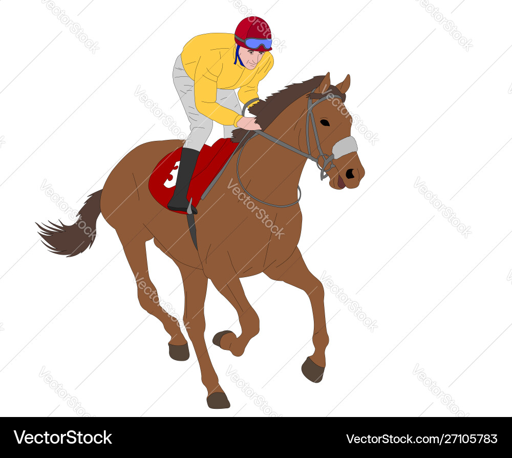 Racehorse Jockey vector image