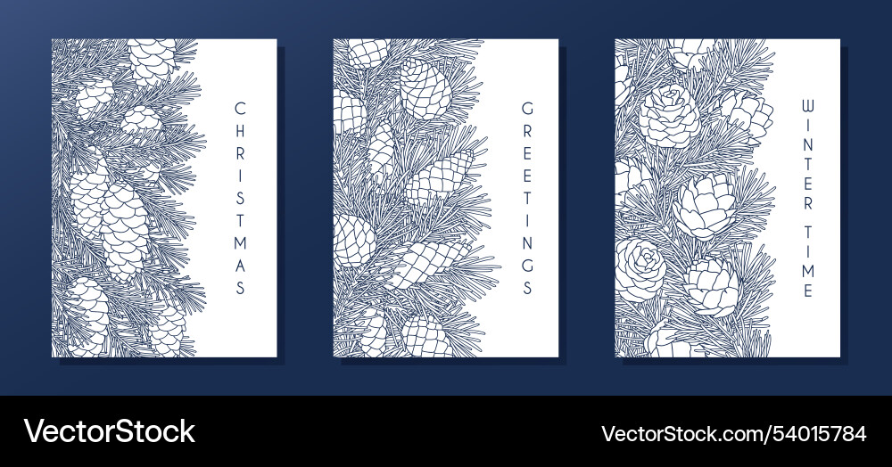 Set of compositions with coniferous branches Vector Image