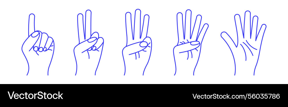 Counting with fingers numbers one two three four Vector Image