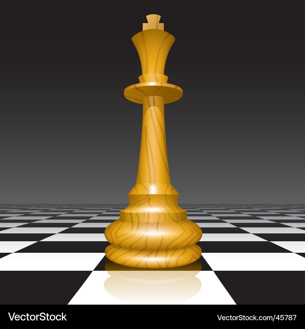 Chess Reflection vector image