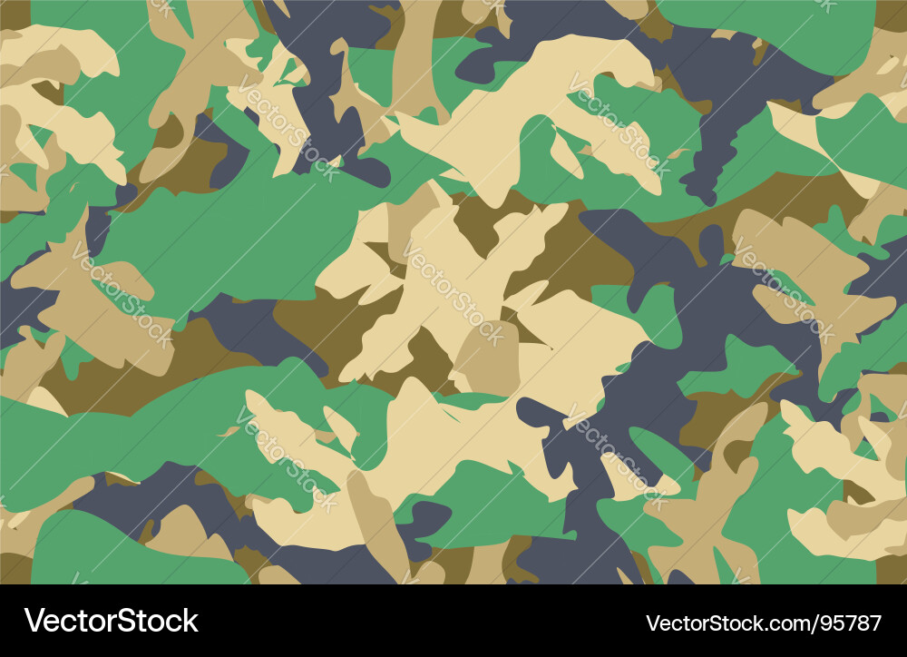 Seamless Camouflage Pattern Vector Image