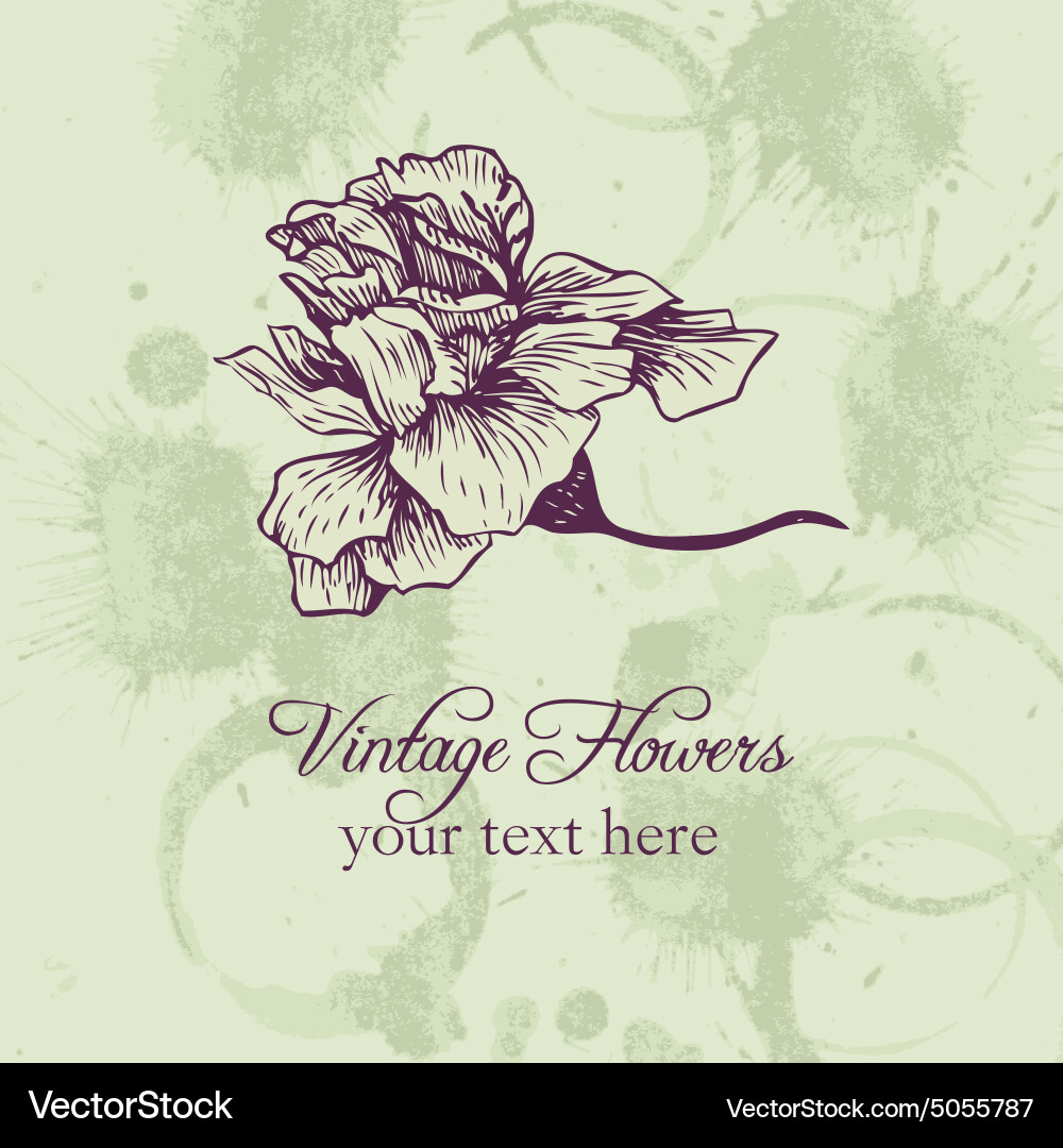 Vintage floral card vector image