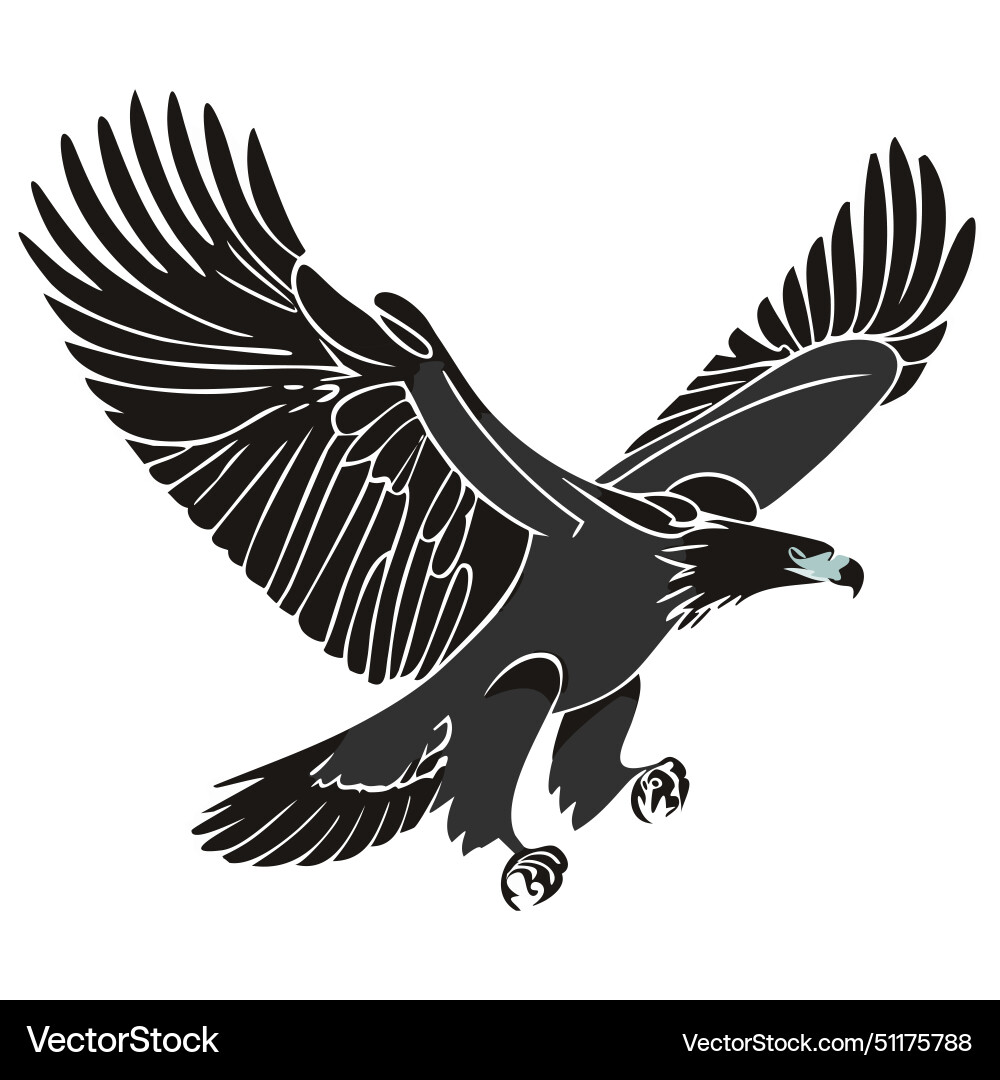 Eagle Eagle Bird Of Prey Black And White Vector Image