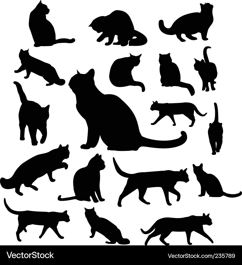 Cat Silhouettes - Black and White vector image