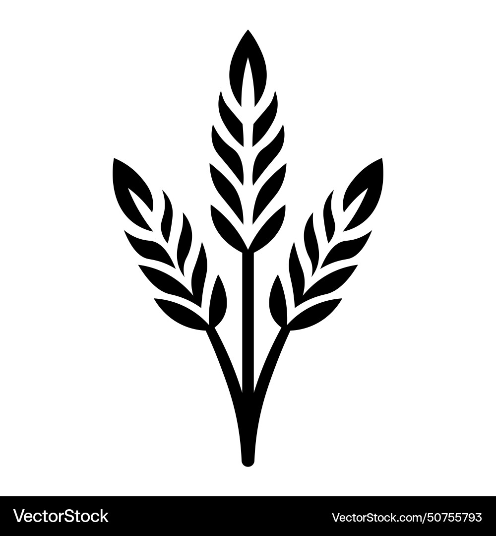 Black wheat icon on white background Black wheat icon on white background vector image