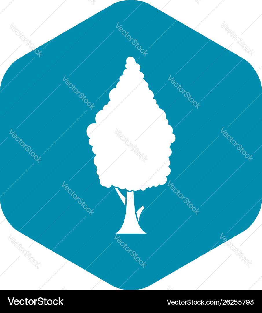 Cypress icon simple style Cypress icon simple style vector image