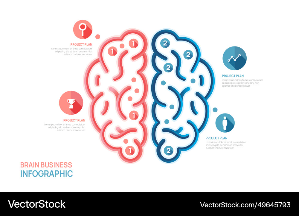 Infographic brain business growth design template Infographic brain business growth design template vector image
