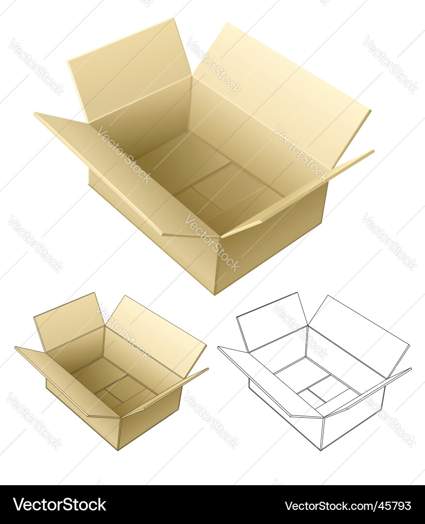 Open Cardboard Box Vector Image