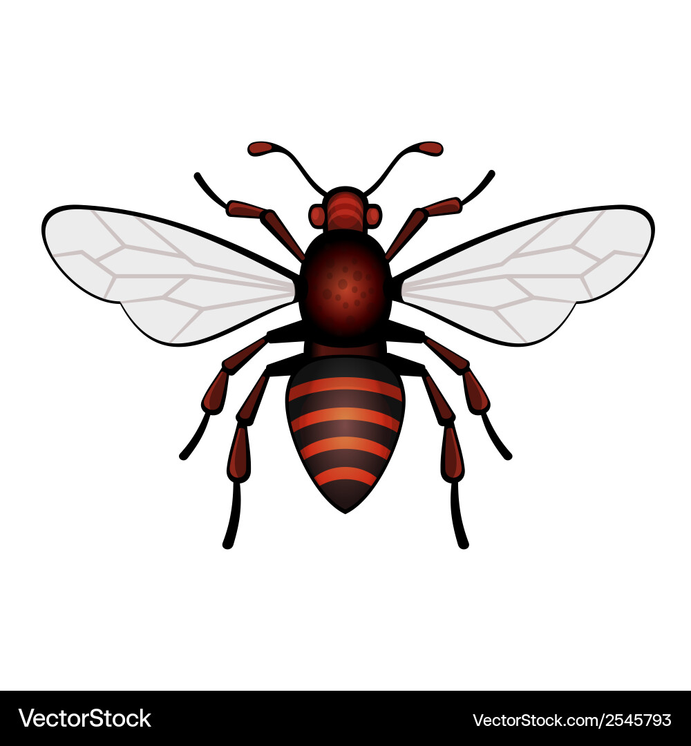 Red Bee Icon vector image