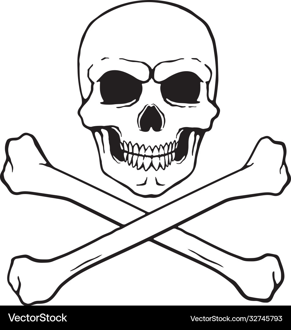 Skull Jolly Roger with Crossbones vector image