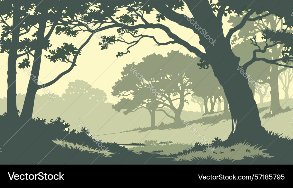 Mysterious forest path with misty trees and soft vector image