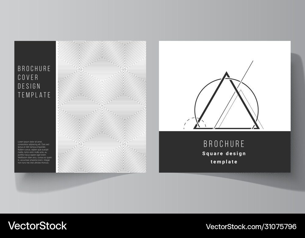 Minimal layout two square Vector Image