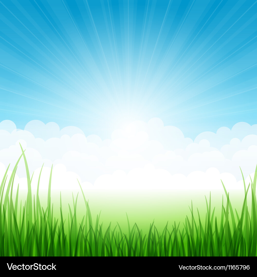 Summer Meadow Landscape Vector Image