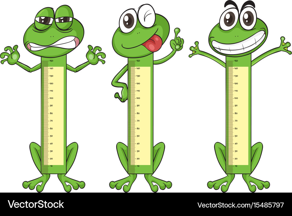 Height measurement chart with frog characters vector image