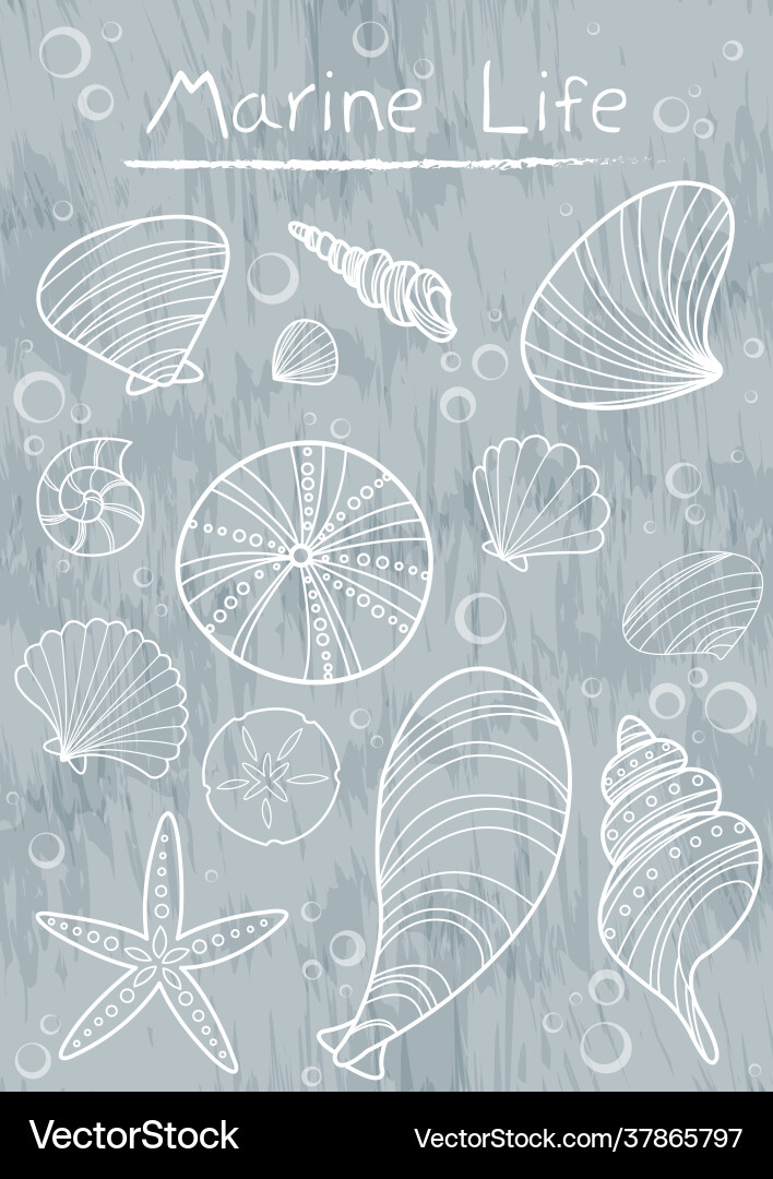 Meeresschale und Meeresleben doodle clipart Meeresschale und Meeresleben doodle clipart vektorbild