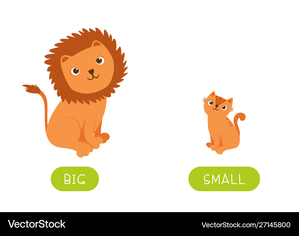 Foreign language studying word card template Foreign language studying word card template vector image