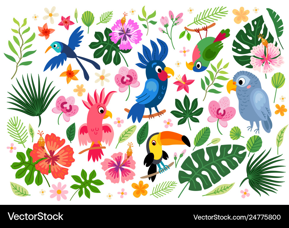 Tropical Parrot & Floral Collection Vector Image