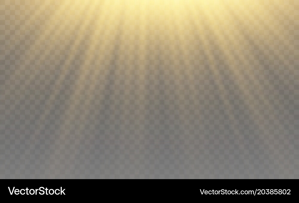 Light flare special effect with rays of Vector Image