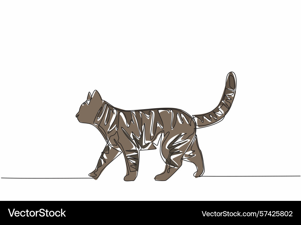 Single continuous line drawing tabby cat vector image