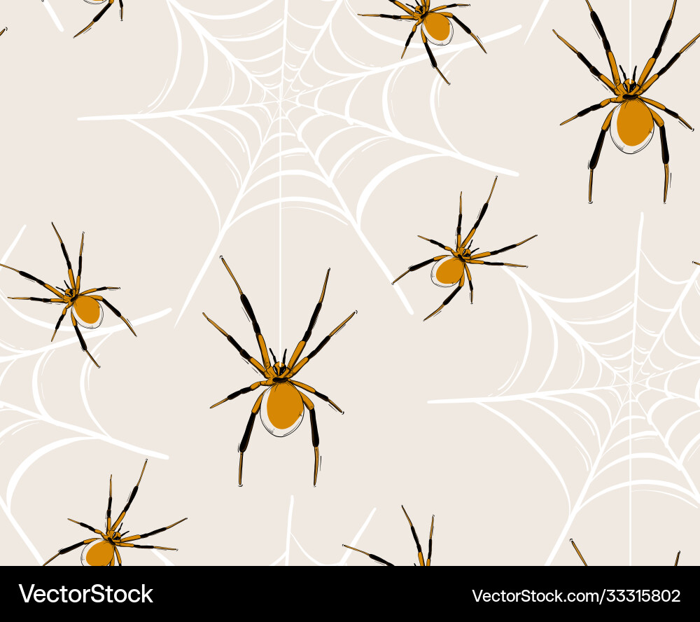 Spider web seamless pattern baby halloween kids vector image