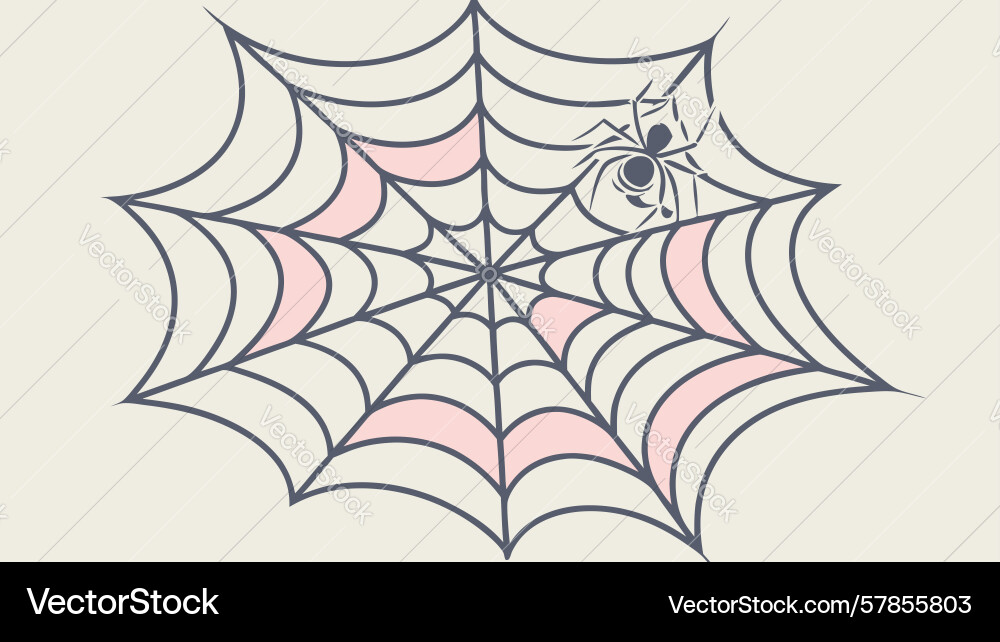 Intricate spider web with geometric pattern vector image