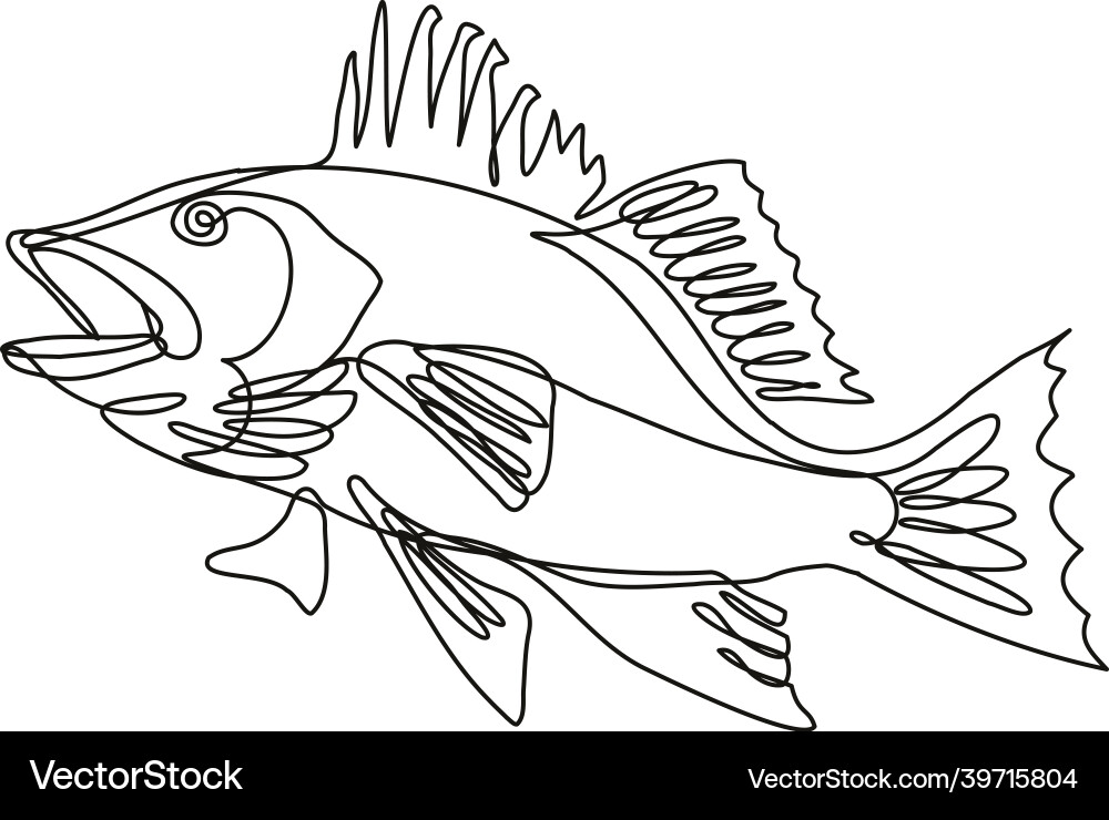 Largemouth bass side view continuous line drawing vector image