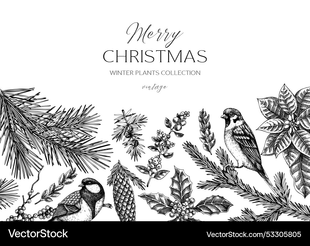 Weihnachten Hintergrund Design Winterpflanzen Jahrgang Weihnachten Hintergrund Design Winterpflanzen Jahrgang vektorbild
