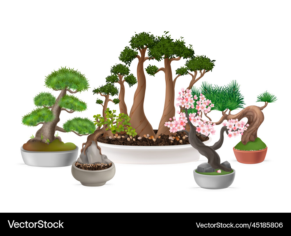 Bonsai trees composition Bonsai trees composition vector image