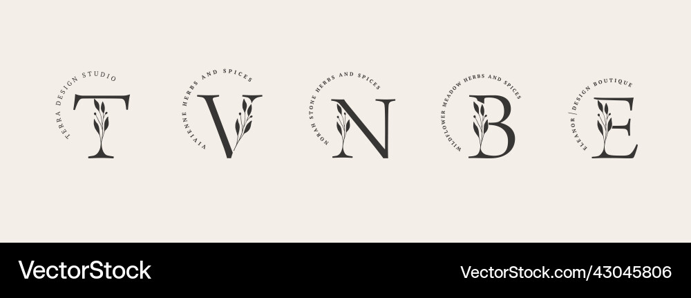 Collection of botanical minimalistic initial Vector Image