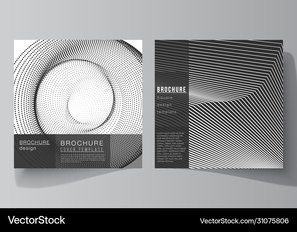 Minimal layout two square format vector image