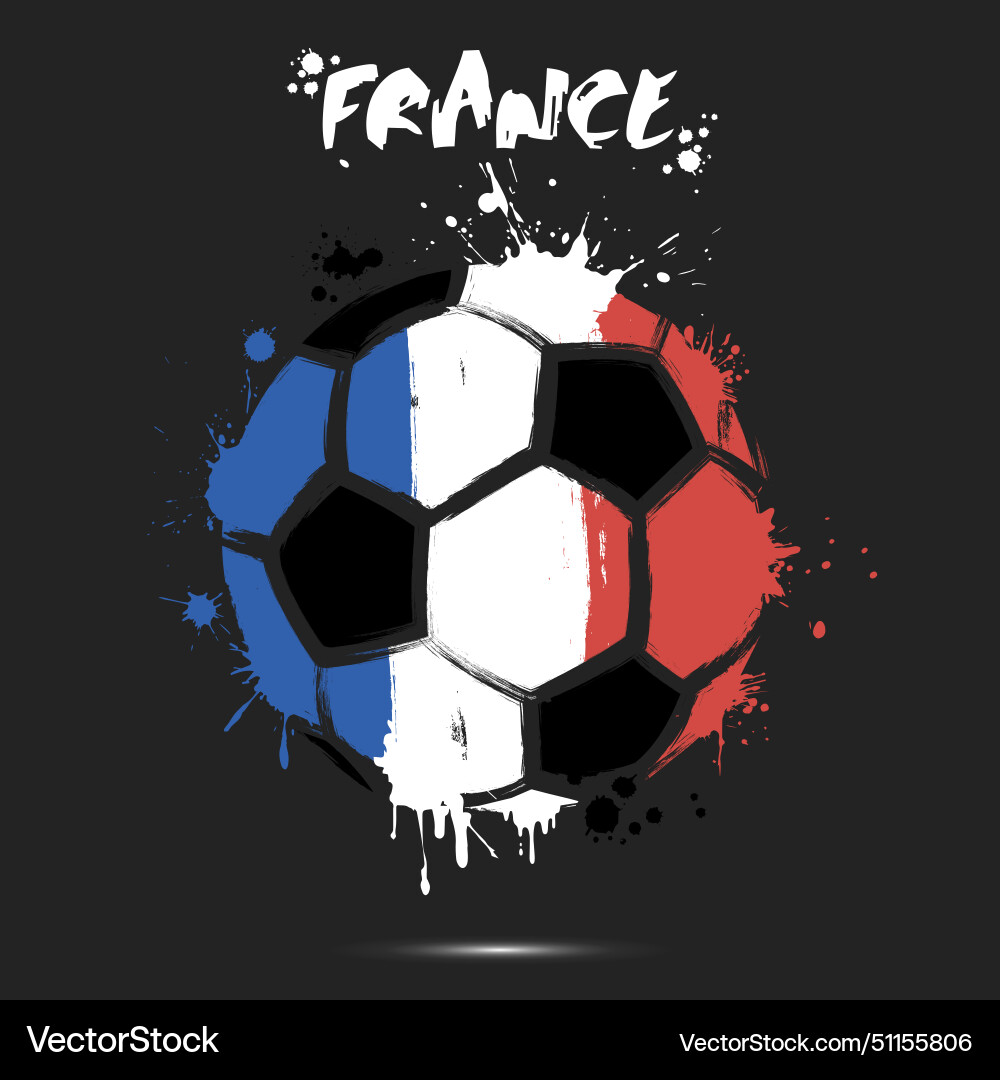 Soccer ball with france national flag colors vector image