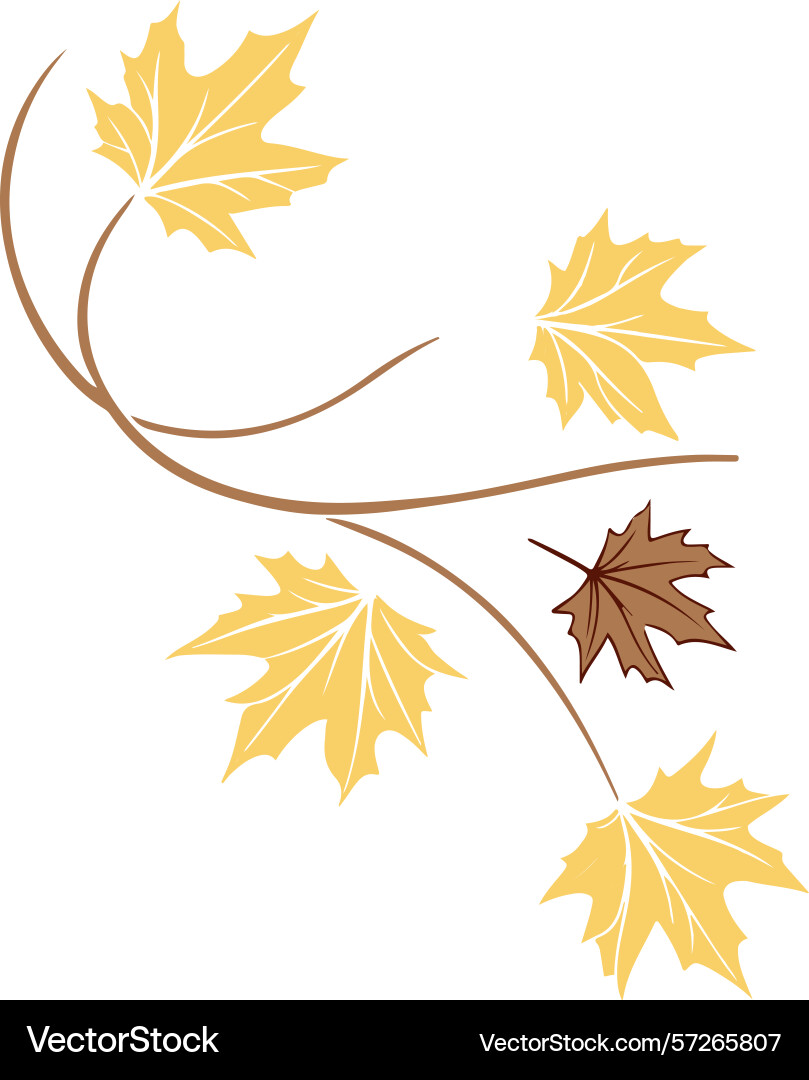 Flat circular frame designed from scattered maple vector image