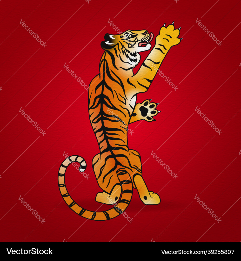 Symbol of the year tiger standing on its hind legs Symbol of the year tiger standing on its hind legs vector image