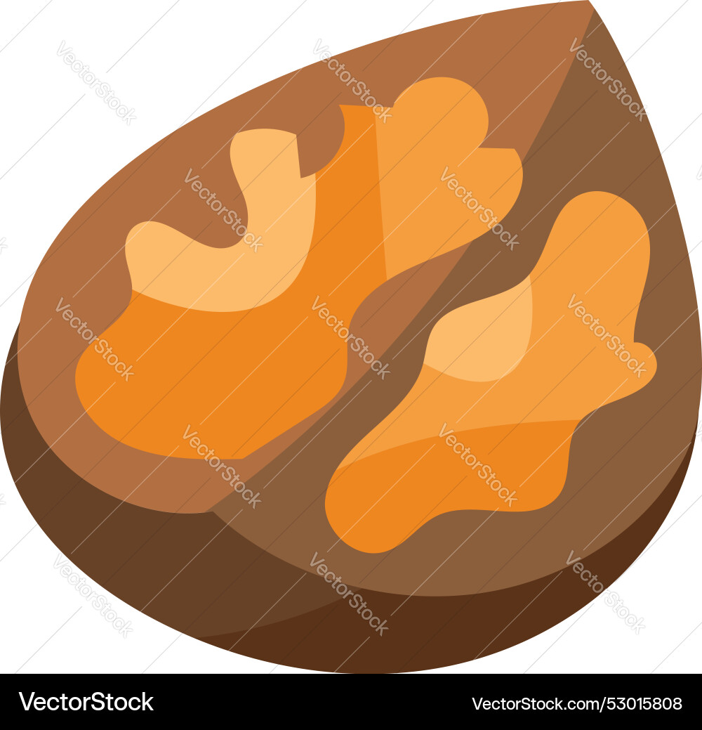 Walnut split in half nut shell with ripe core icon vector image